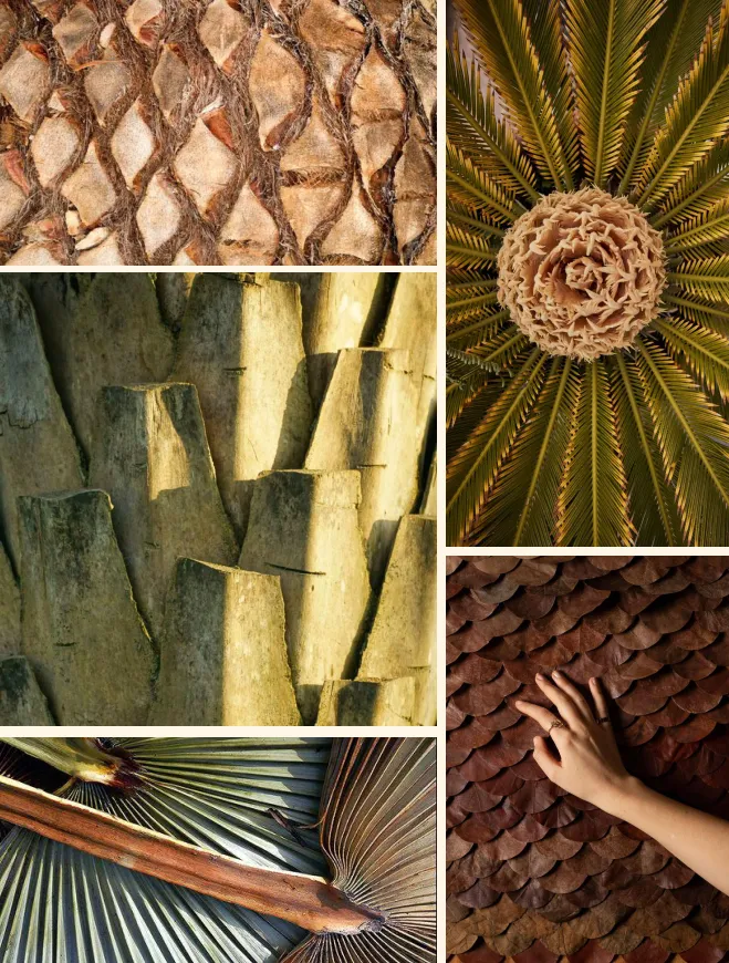 Concepto de diseño interior — sala de estar con materiales naturales y vista al mar